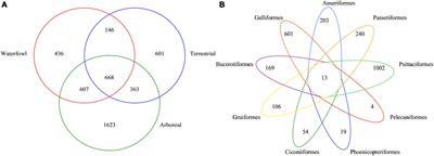 Differences in intestinal microflora of birds among different ecological types